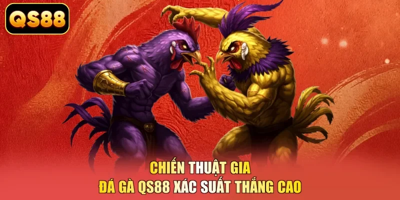 Chiến thuật gia đá gà QS88 xác suất thắng cao